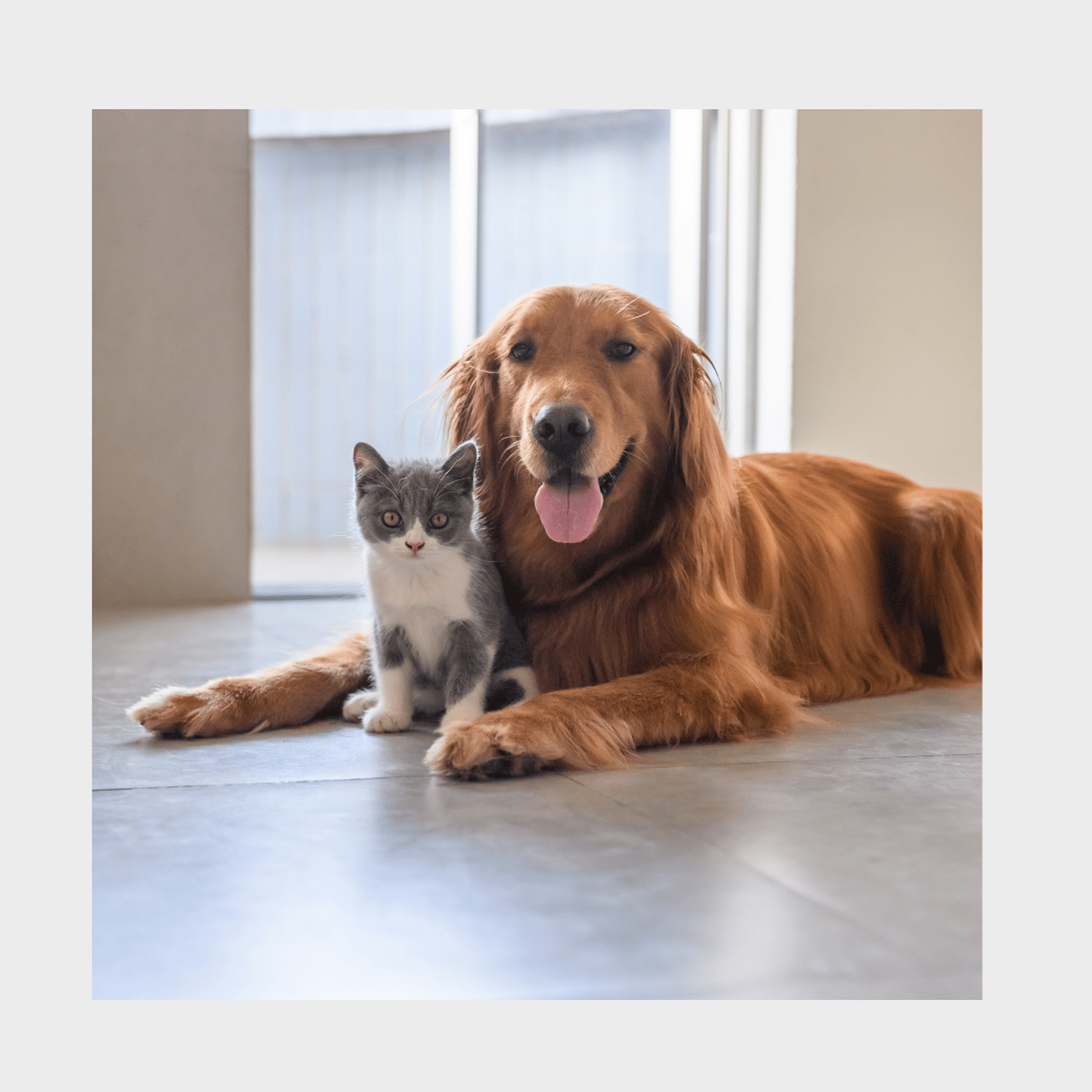 Dr.KIM's EverTail Care